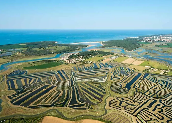 Hébergement de vacances La Maison Du Renclos Maison Familiale, Au Calme Quartier Nature Proche Centre Ville, 8 Personnes, Grand Jardin Clos Avec Piscine Couverte *